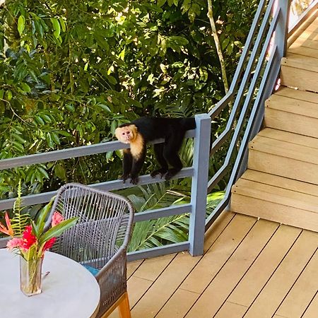 Villas En El Bosque オホチャル エクステリア 写真