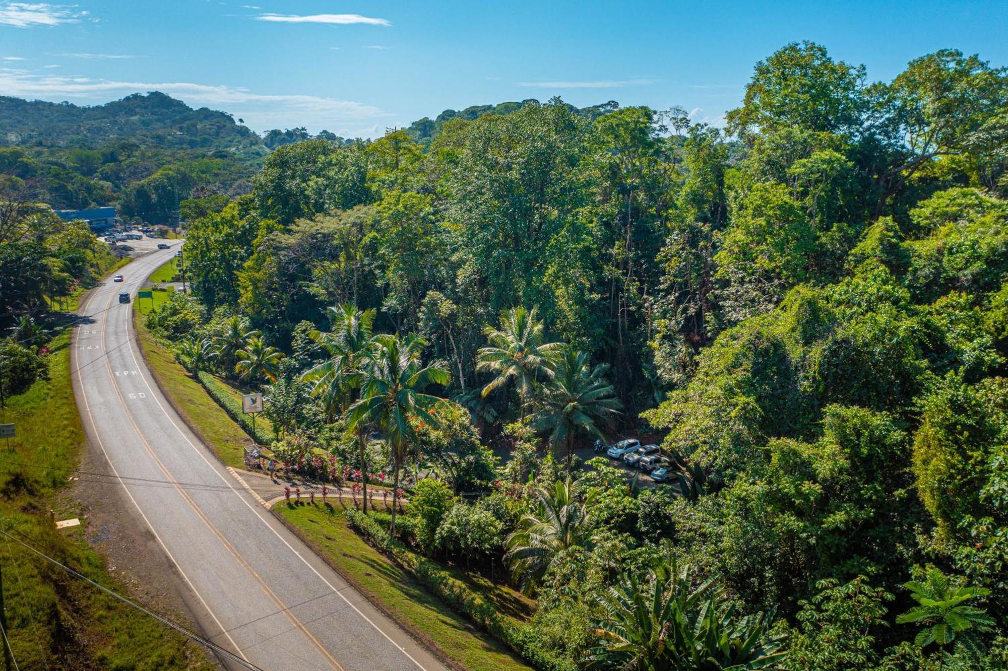 Villas En El Bosque オホチャル エクステリア 写真