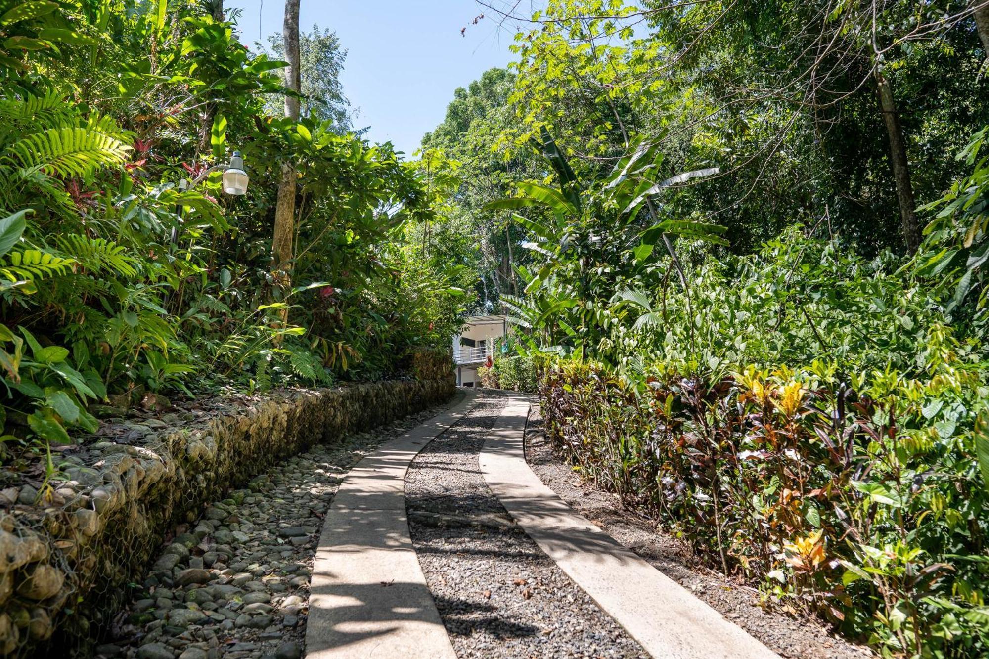Villas En El Bosque オホチャル エクステリア 写真