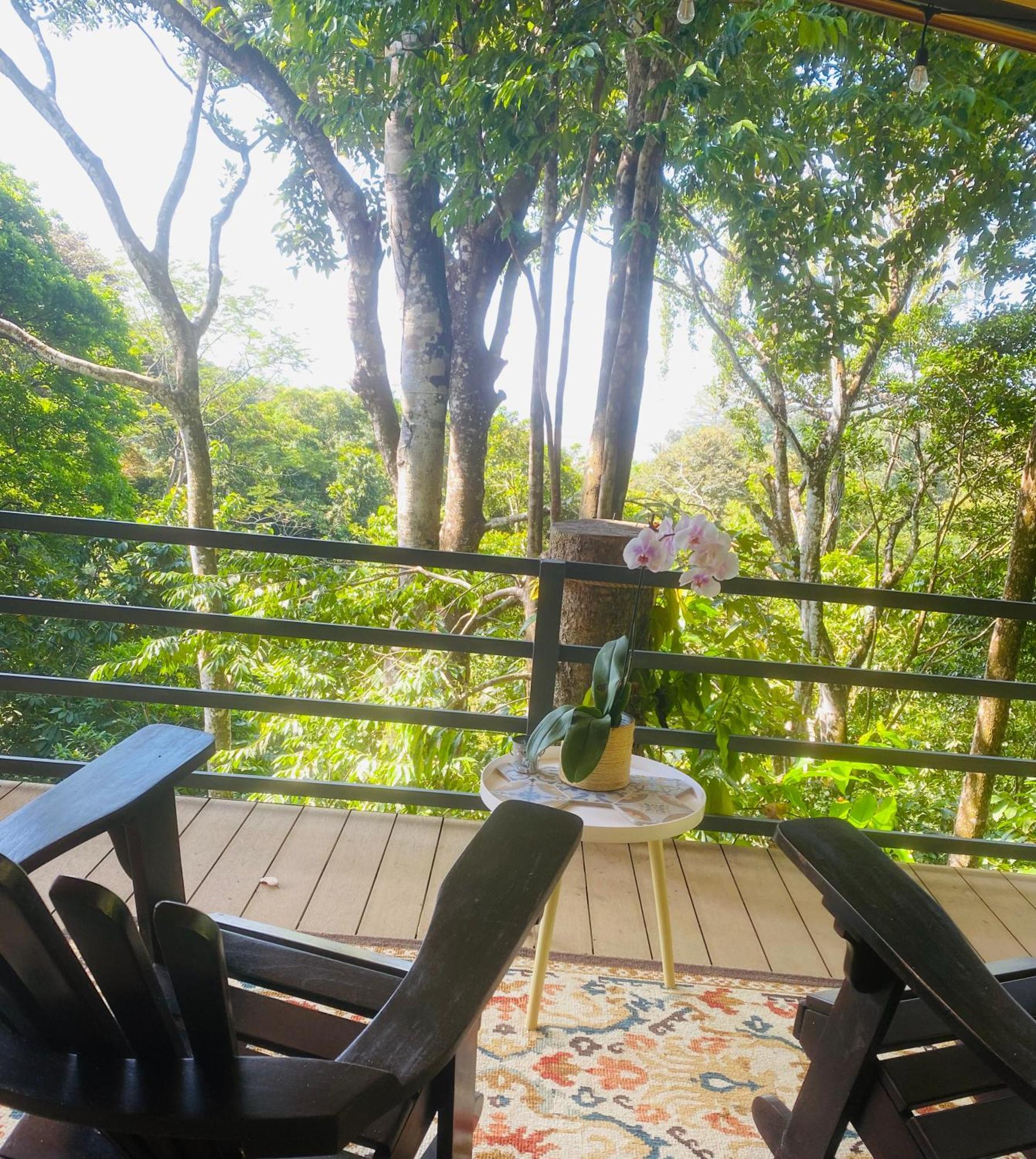 Villas En El Bosque オホチャル エクステリア 写真