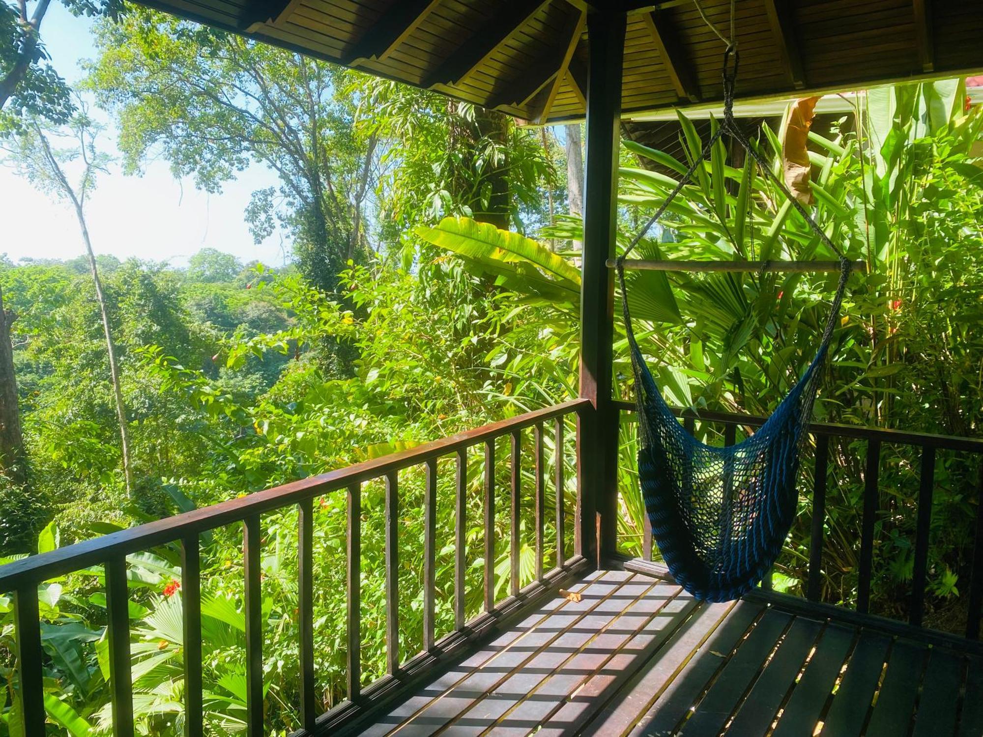 Villas En El Bosque オホチャル エクステリア 写真