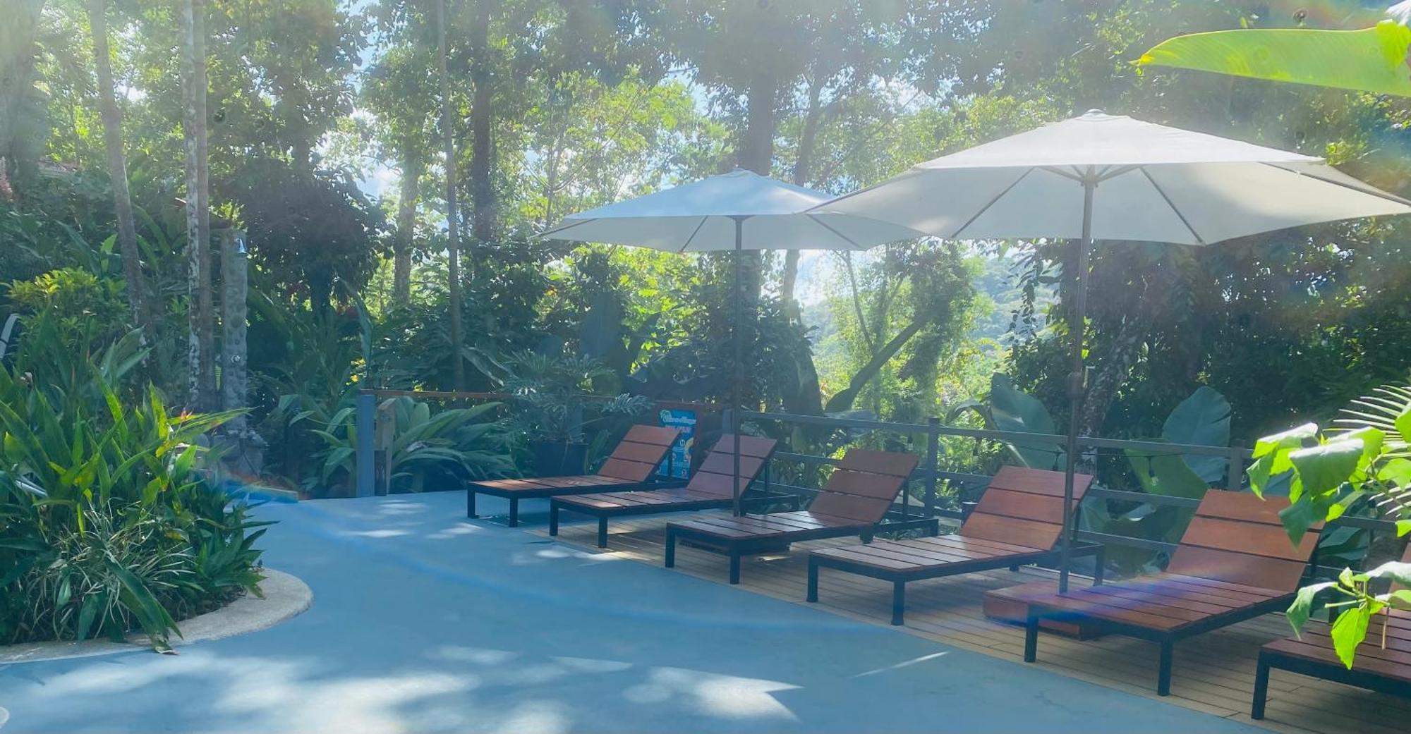 Villas En El Bosque オホチャル エクステリア 写真