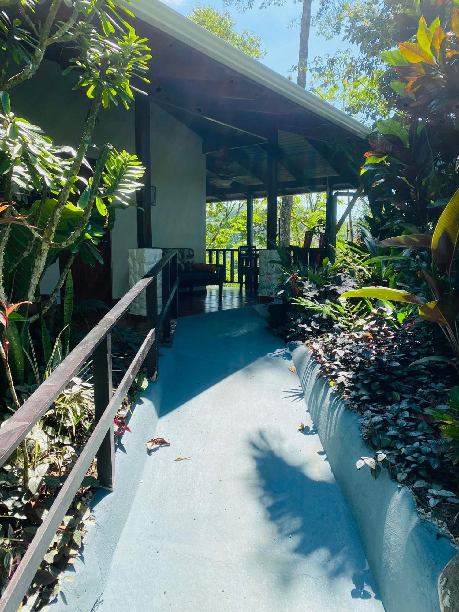 Villas En El Bosque オホチャル エクステリア 写真
