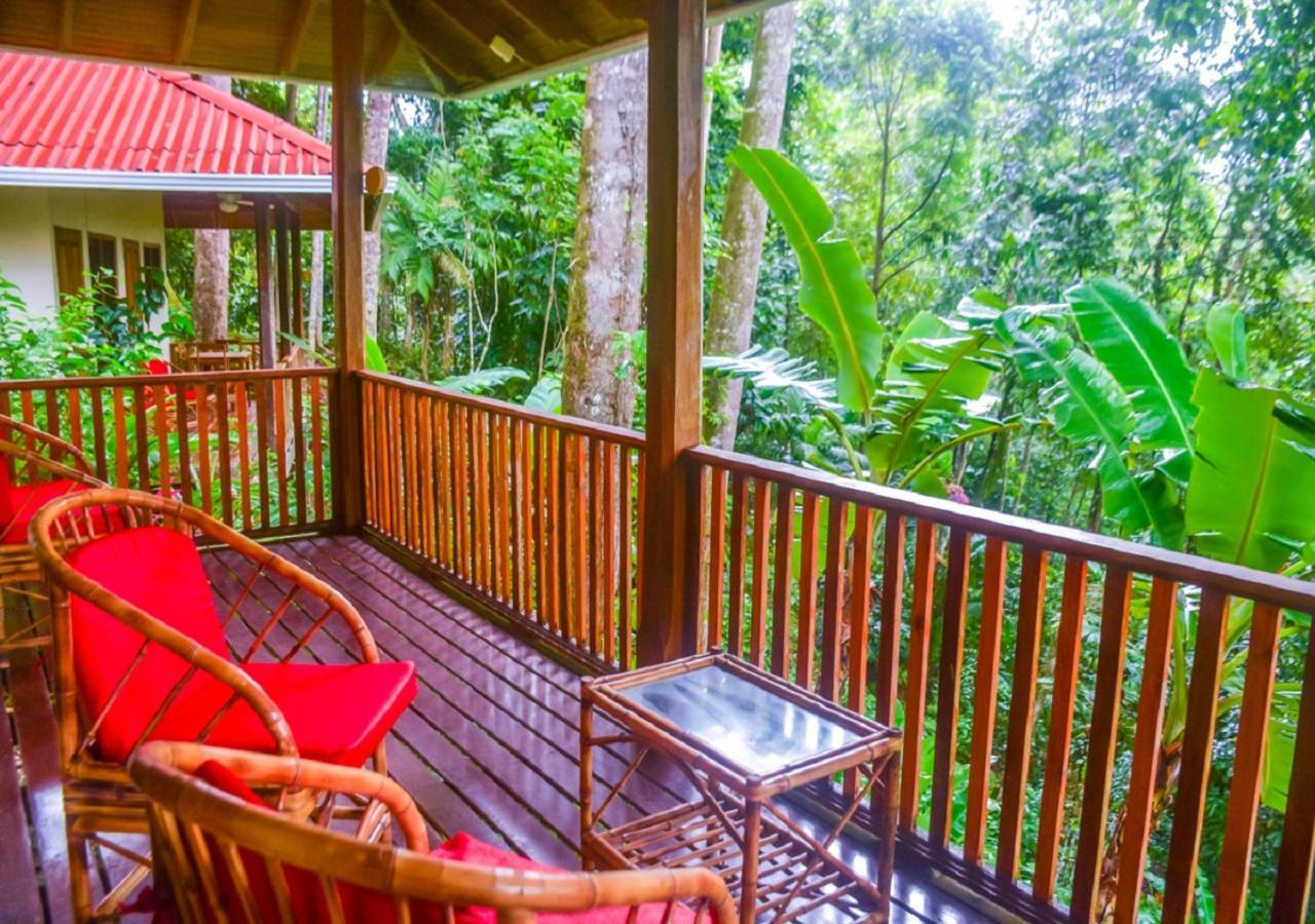 Villas En El Bosque オホチャル エクステリア 写真